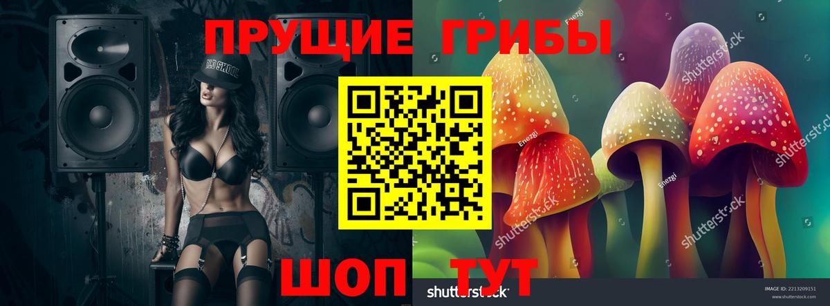 Галлюциногенные грибы Psilocybe  Вход с VPN  Ярцево  Галлюциногенные грибы Psilocybine cubensis 